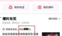 高安头条最新爆料,最新爆料事件深度解析